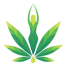 Logo for the brand Lush Valley CBD